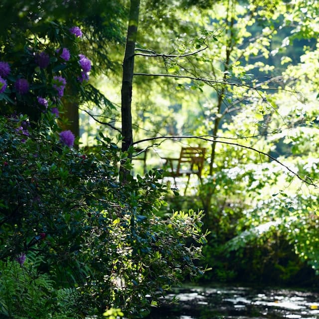 Новорижское шоссе